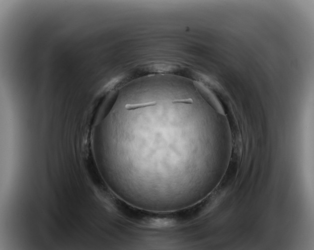 X0000086750360200704201730