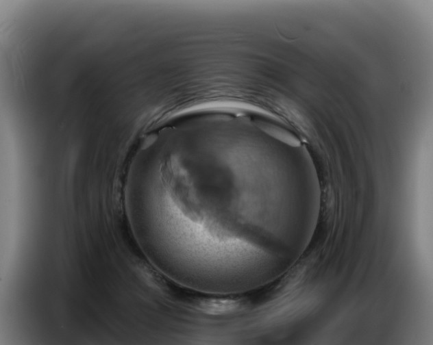 X0000086750361200704201730