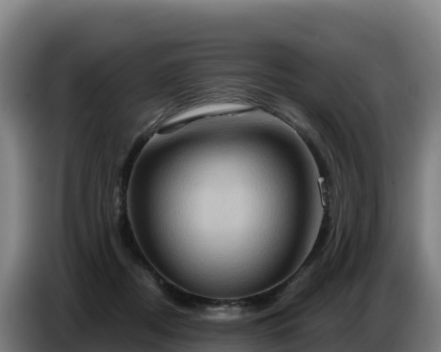 X0000086750362200704201730