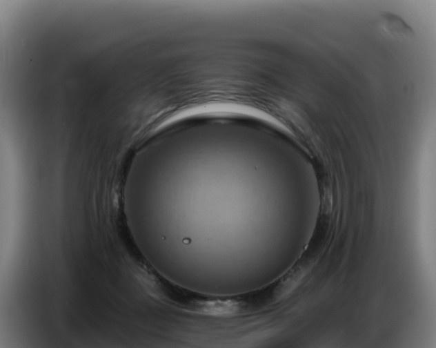 X0000086750363200704201730