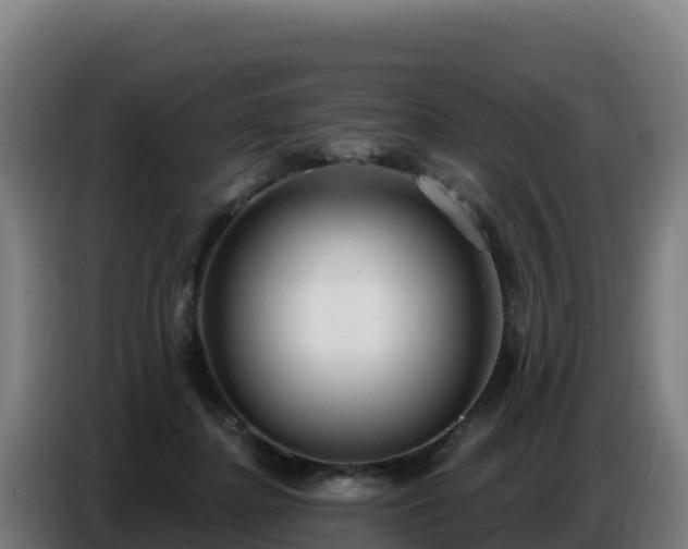 X0000086750364200704201730