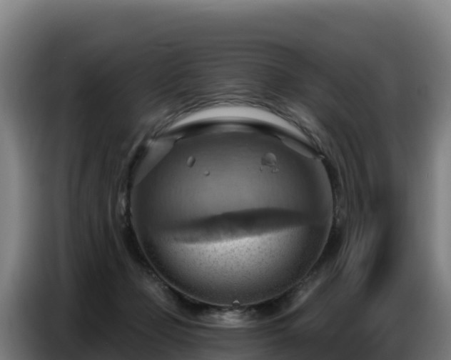 X0000086750365200704201730