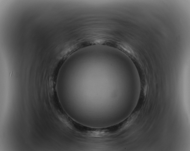 X0000086750366200704201730