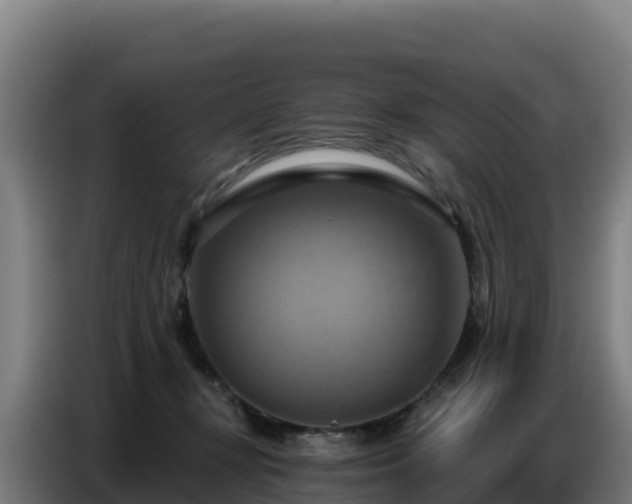 X0000086750367200704201730