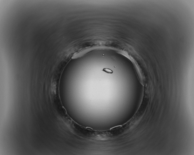 X0000086750368200704201730