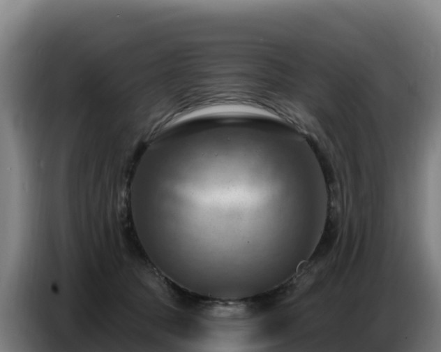 X0000086750369200704201730