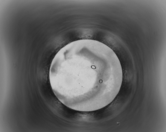 X0000086750370200704201730