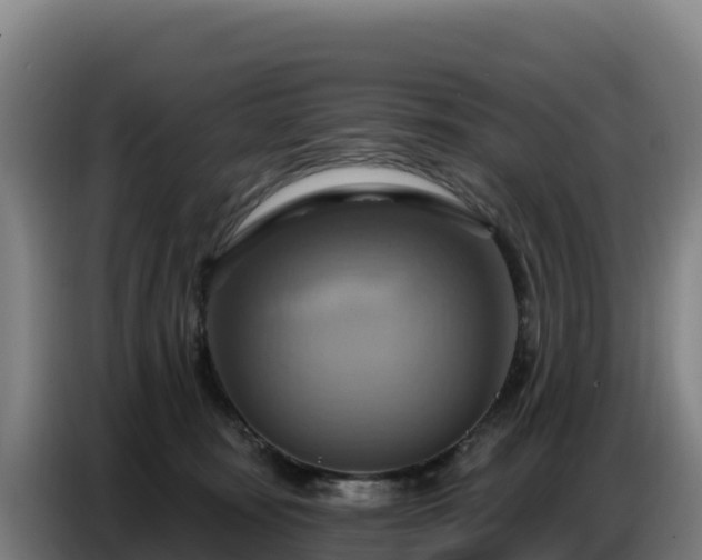 X0000086750371200704201730