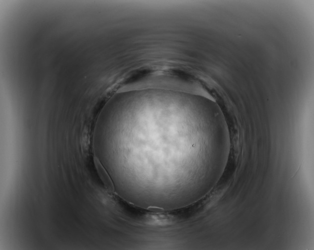 X0000086750372200704201730