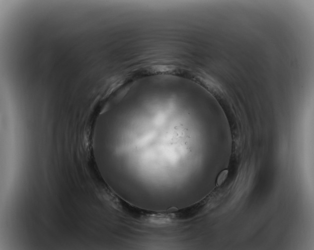 X0000086750373200704201730