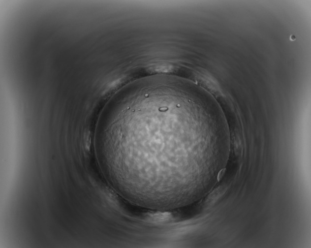 X0000086750374200704201730