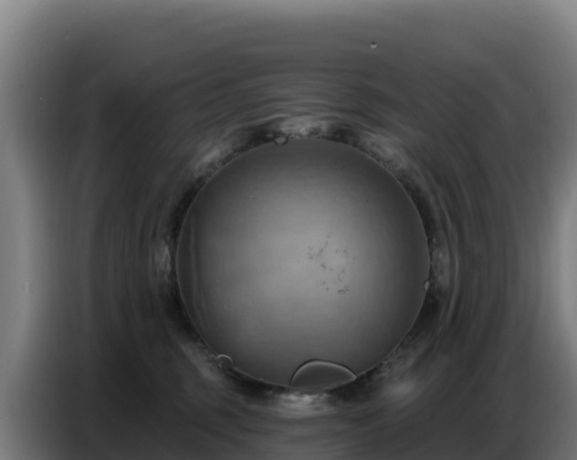 X0000086750375200704201730