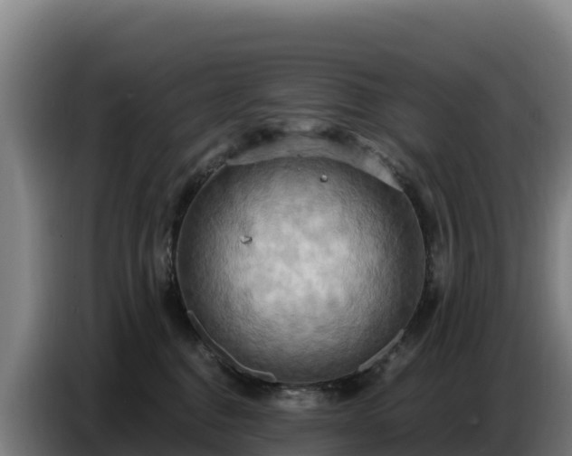 X0000086750376200704201730