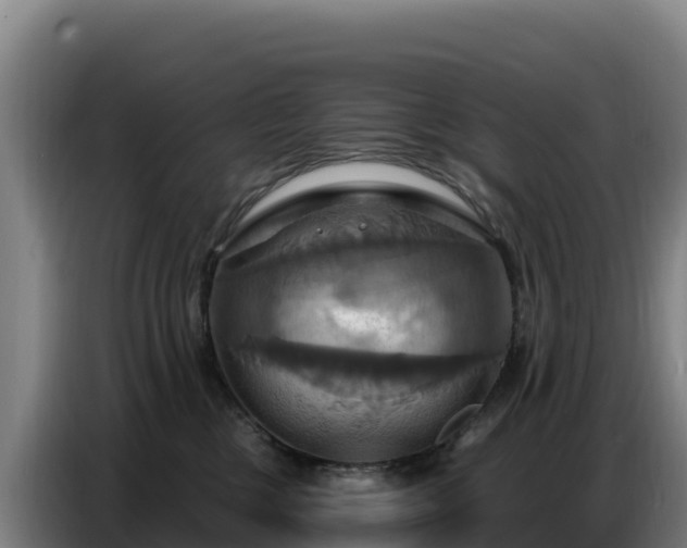 X0000086750377200704201730