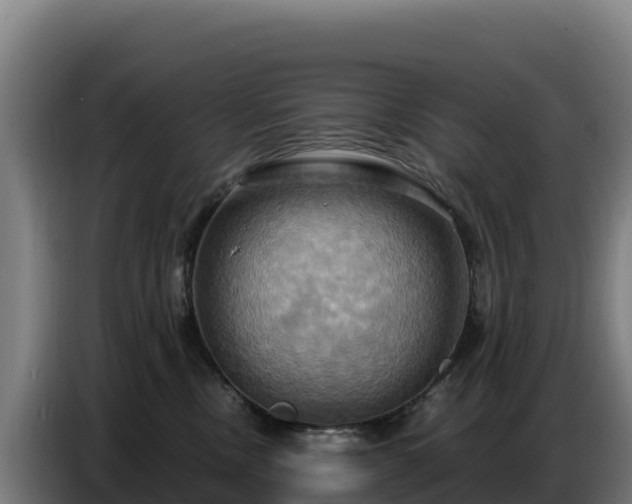 X0000086750378200704201730