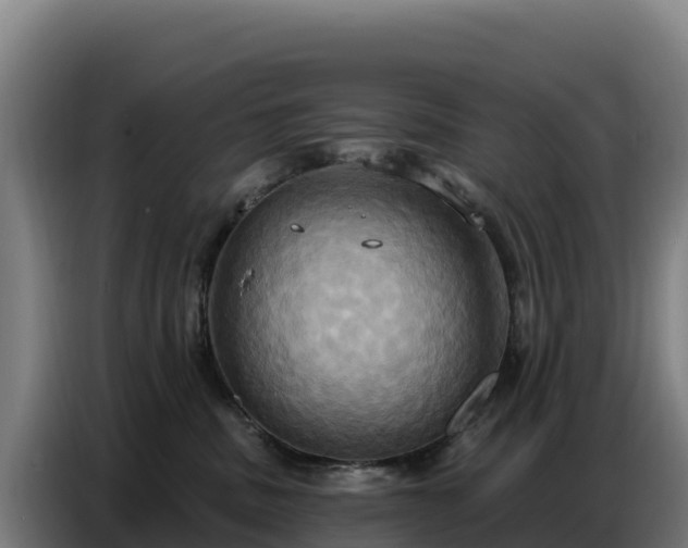 X0000086750379200704201730