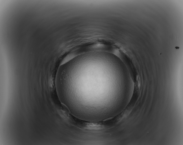 X0000086750380200704201730