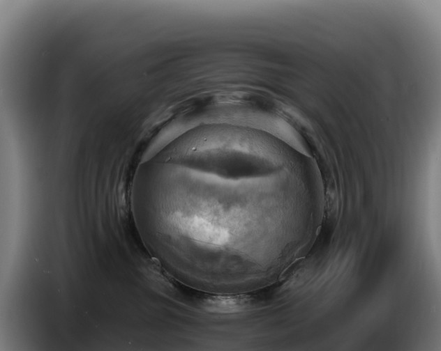 X0000086750381200704201730