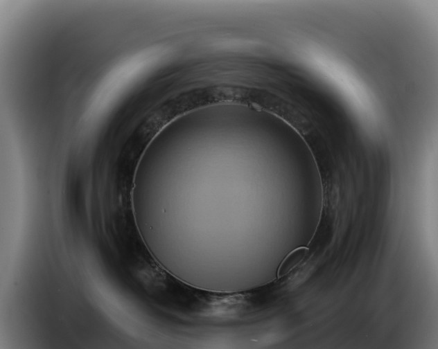 X0000086750382200704201730