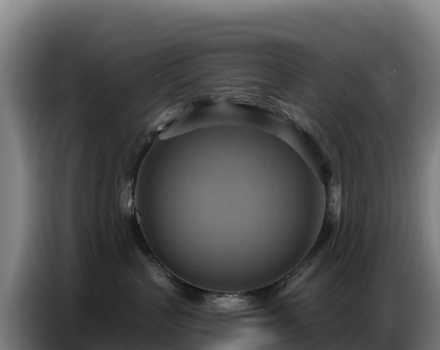 X0000086750383200704201730