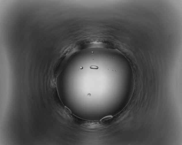 X0000086750384200704201730