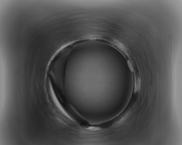 X0000086750387200704201729