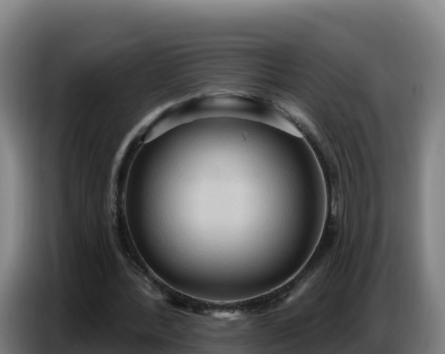 X0000086750388200704201729