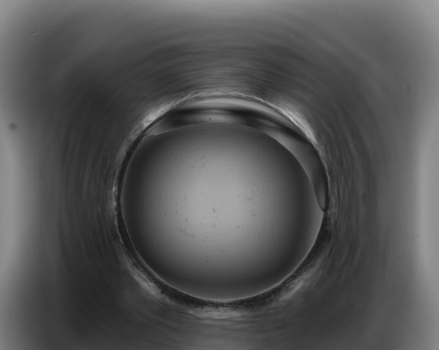 X0000086750389200704201729