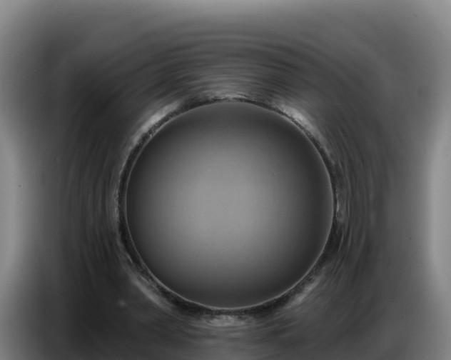 X0000086750390200704201729