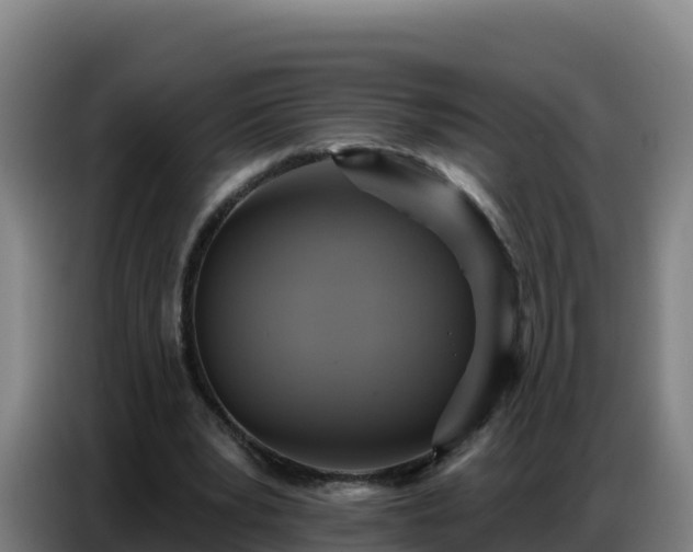 X0000086750391200704201729