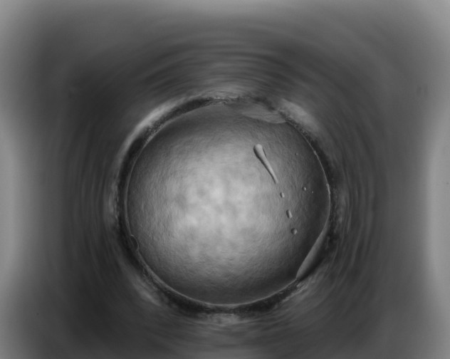 X0000086750392200704201729