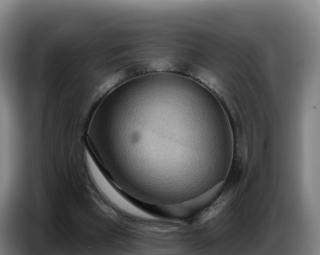 X0000086750393200704201729