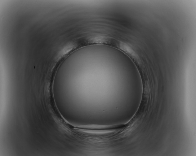 X0000086750394200704201729