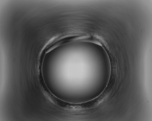 X0000086750395200704201729