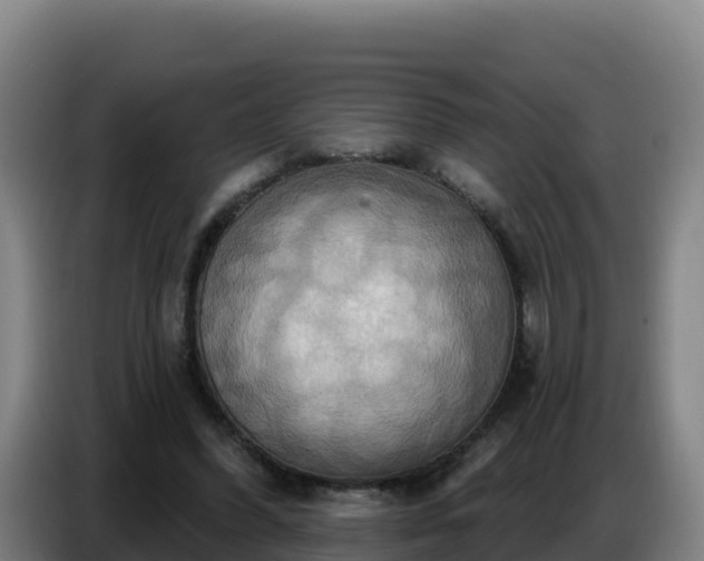 X0000086750396200704201729