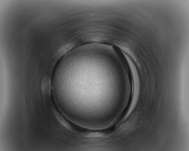 X0000086750397200704201729