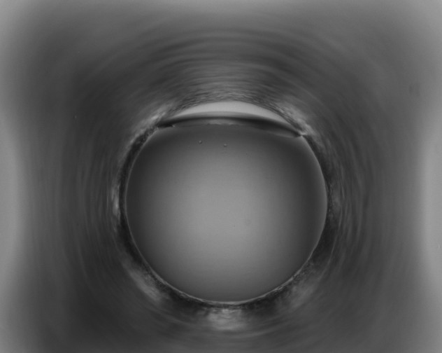 X0000086750398200704201729