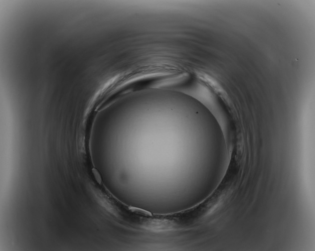 X0000086750399200704201729