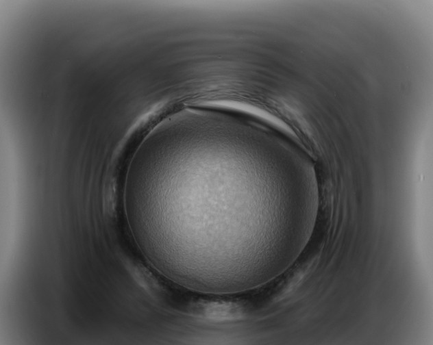 X0000086750400200704201729