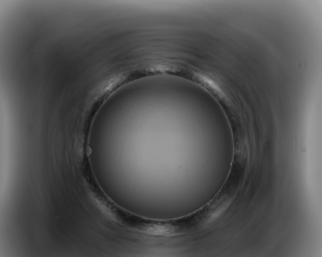 X0000086750402200704201729