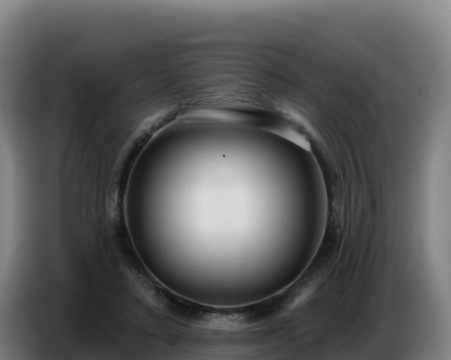 X0000086750403200704201729