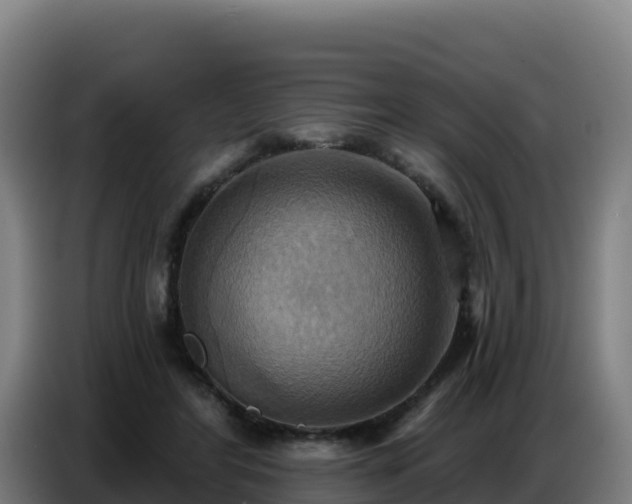 X0000086750404200704201729