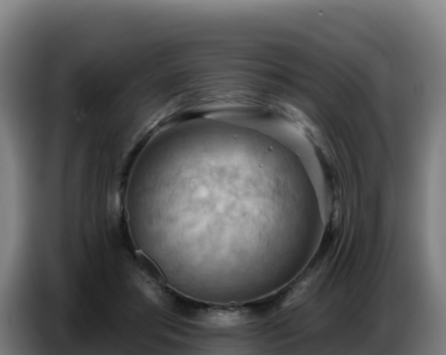 X0000086750405200704201729