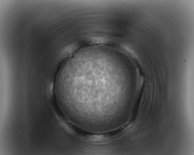 X0000086750406200704201729