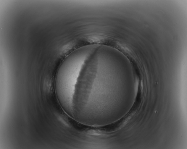 X0000086750408200704201729