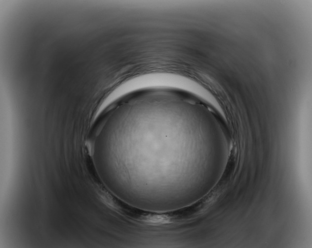 X0000086750409200704201729