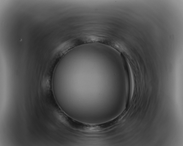 X0000086750410200704201729