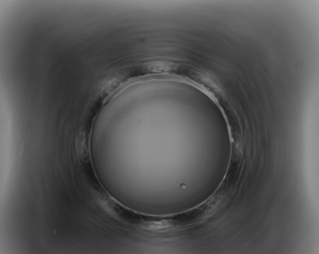 X0000086750411200704201729