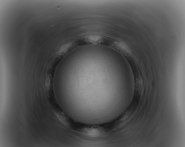 X0000086750412200704201729