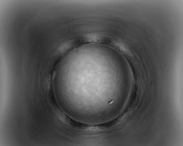 X0000086750413200704201729